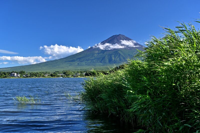 大石公園　富士山
