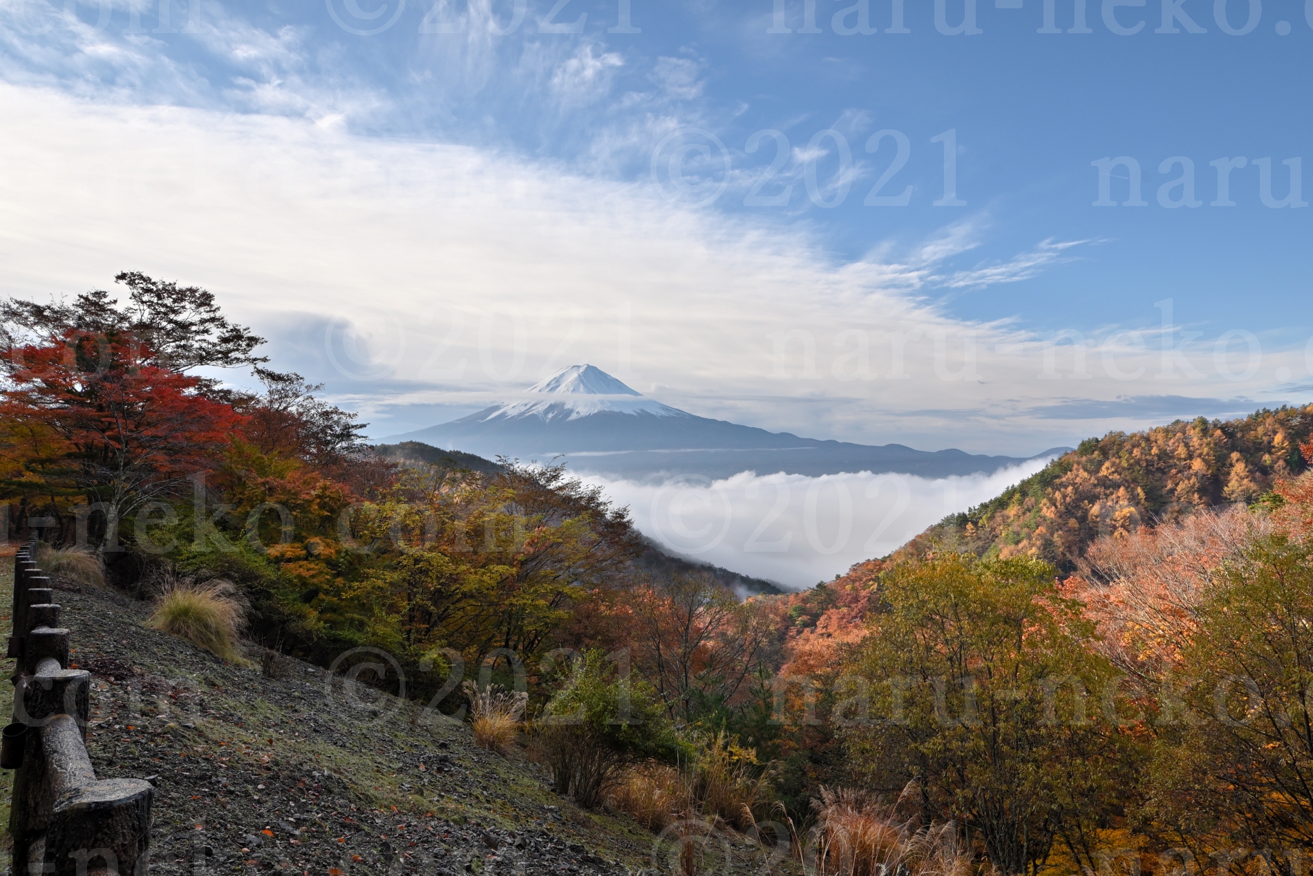 天下茶屋　紅葉　富士山　雲海