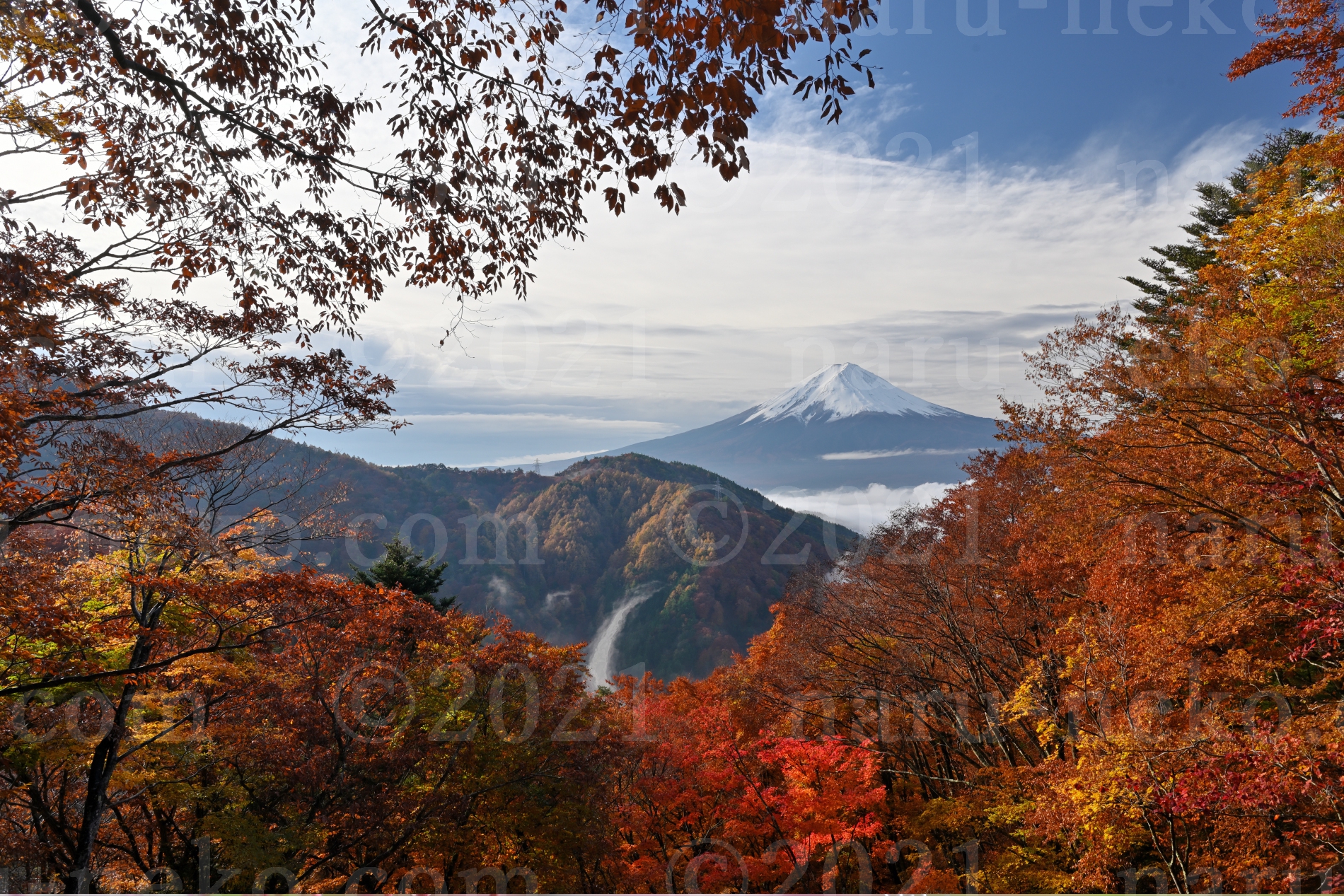 天下茶屋　紅葉　富士山　