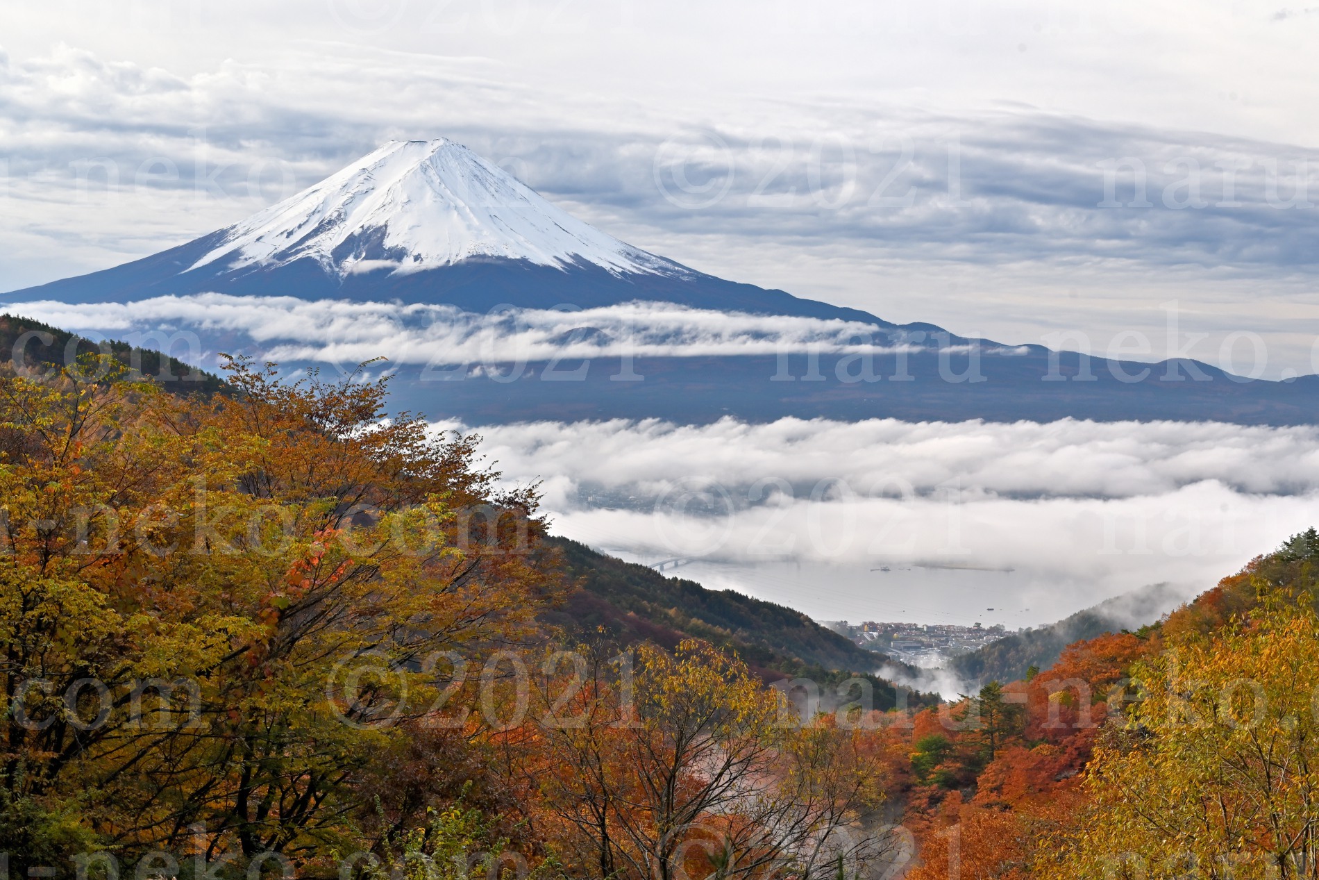天下茶屋　紅葉　富士山　雲海　河口湖