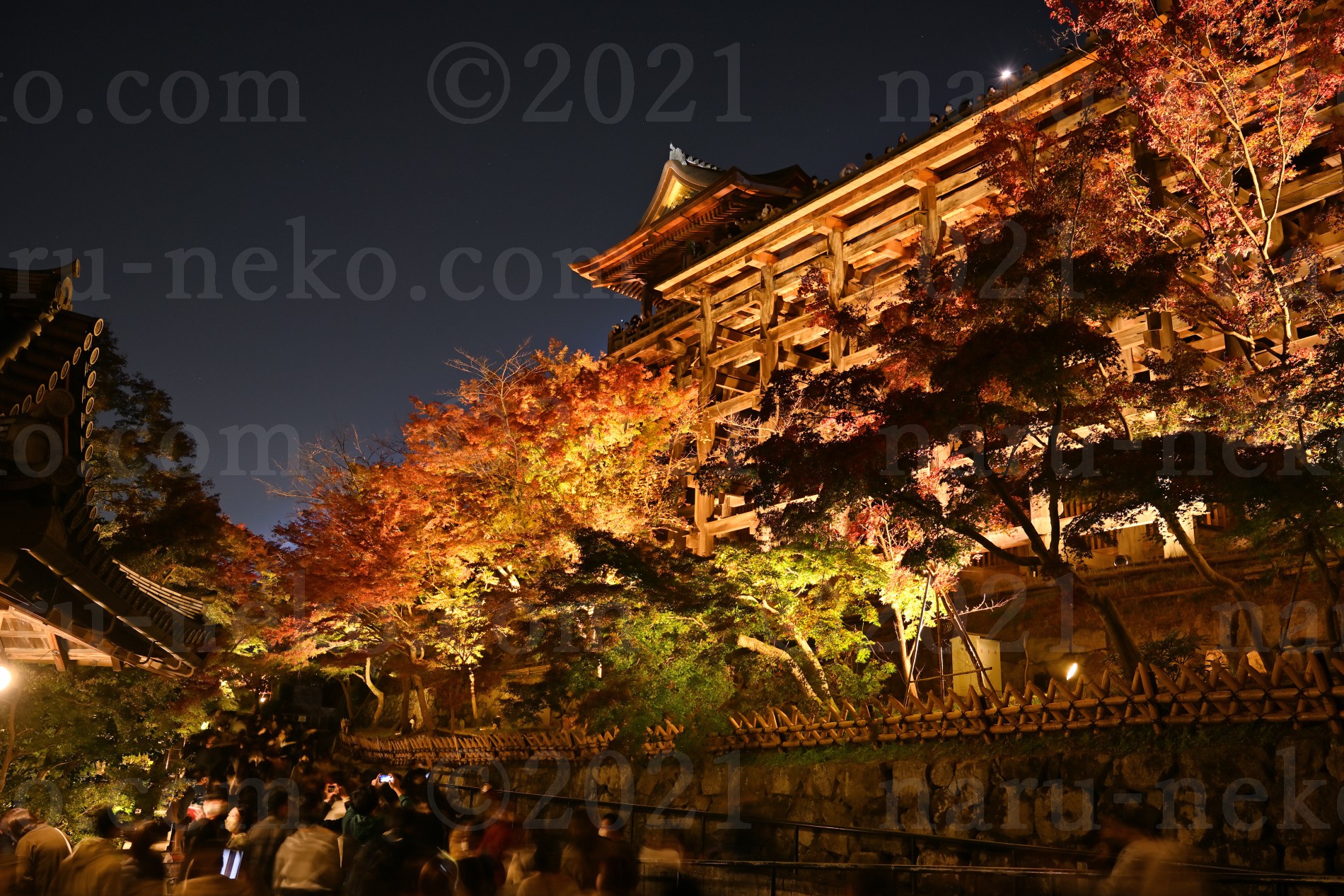 清水寺　ライトアップ　秋の特別拝観　清水の舞台　紅葉　