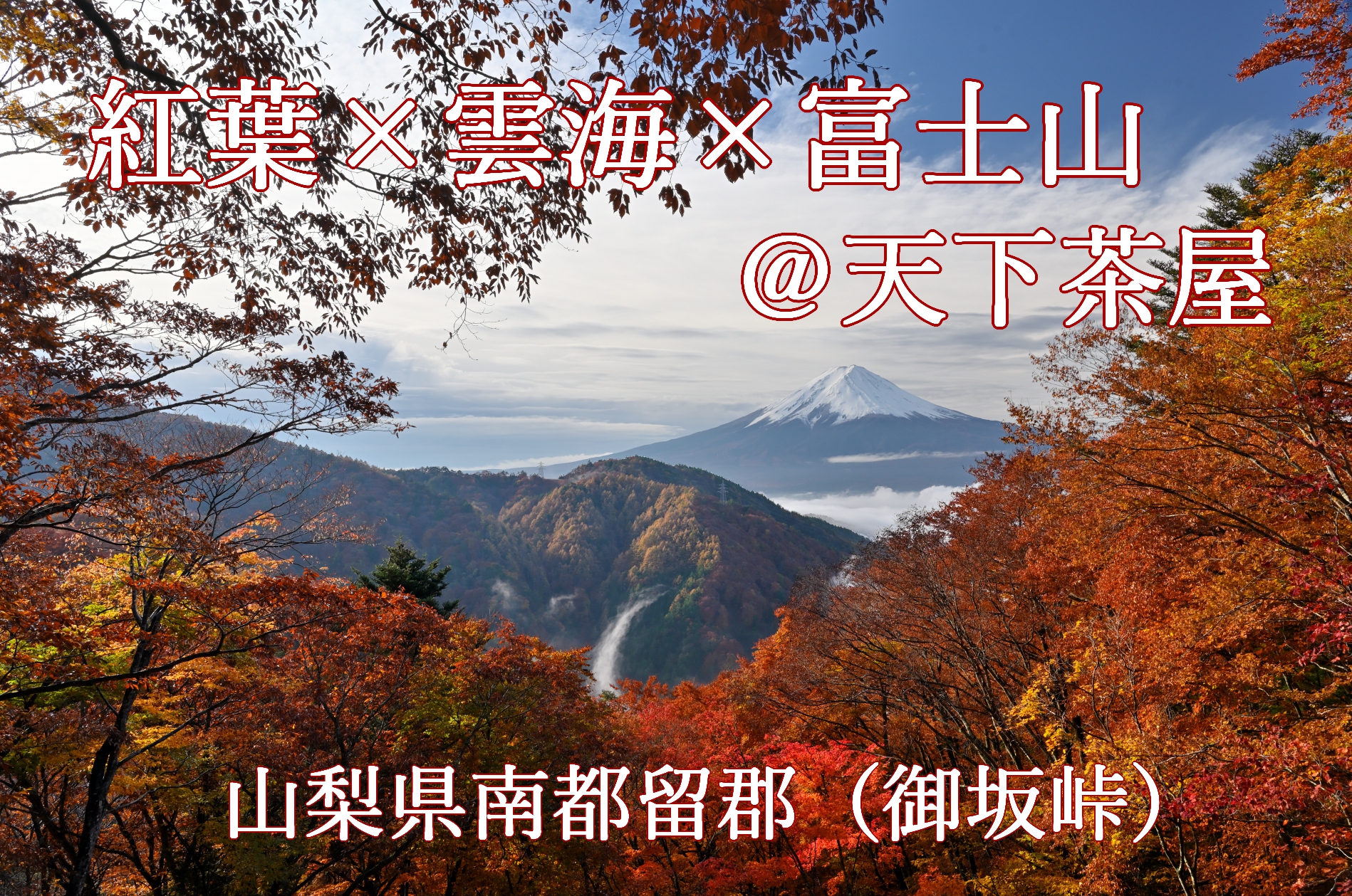 天下茶屋　雲海　河口湖　紅葉　富士山
