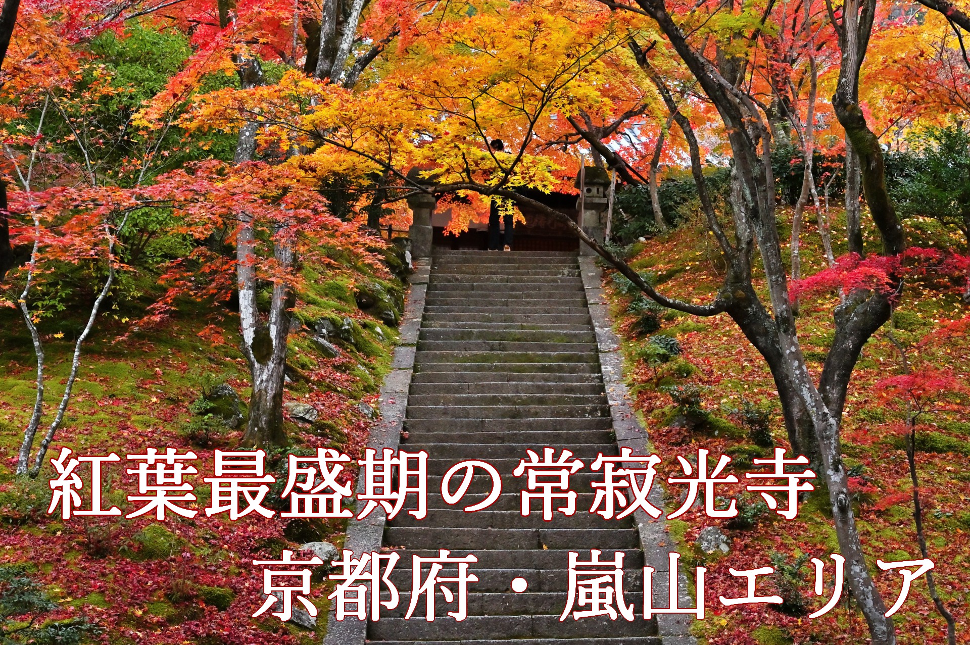 常寂光寺　京都嵐山　紅葉