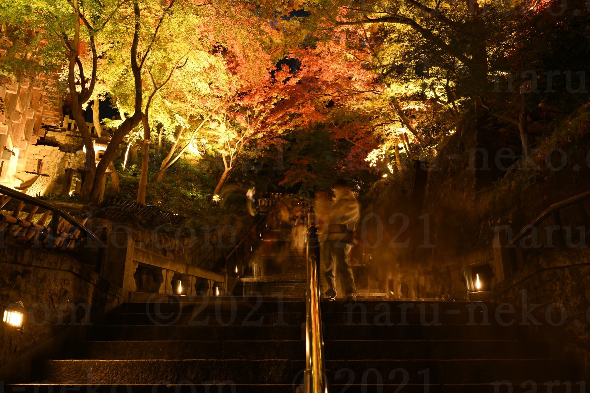清水寺　ライトアップ　秋の特別拝観　階段　紅葉　