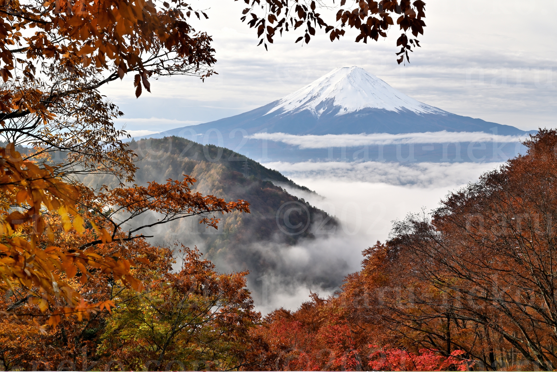 天下茶屋　紅葉　富士山　雲海