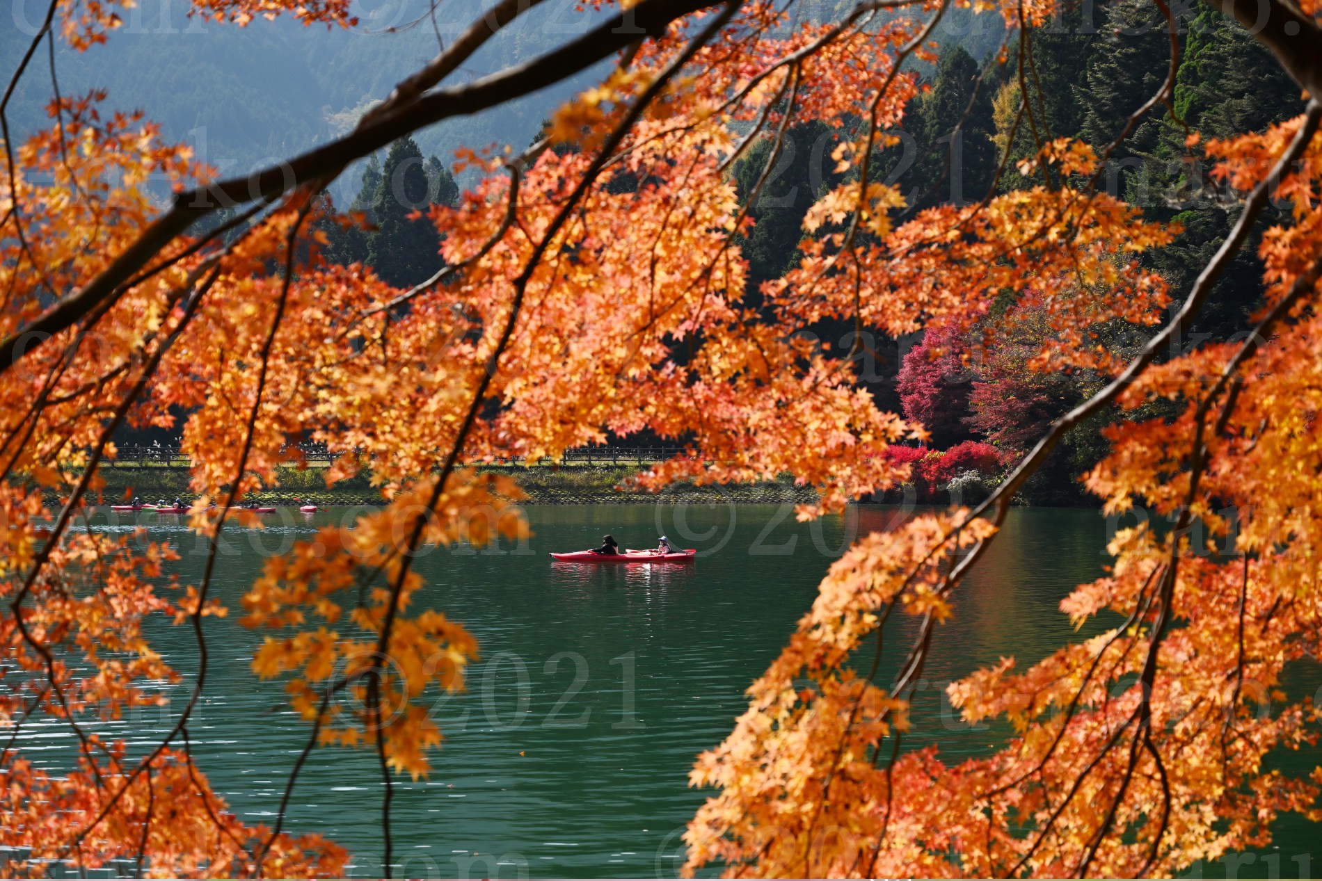 南伊奈ヶ湖　紅葉とボート