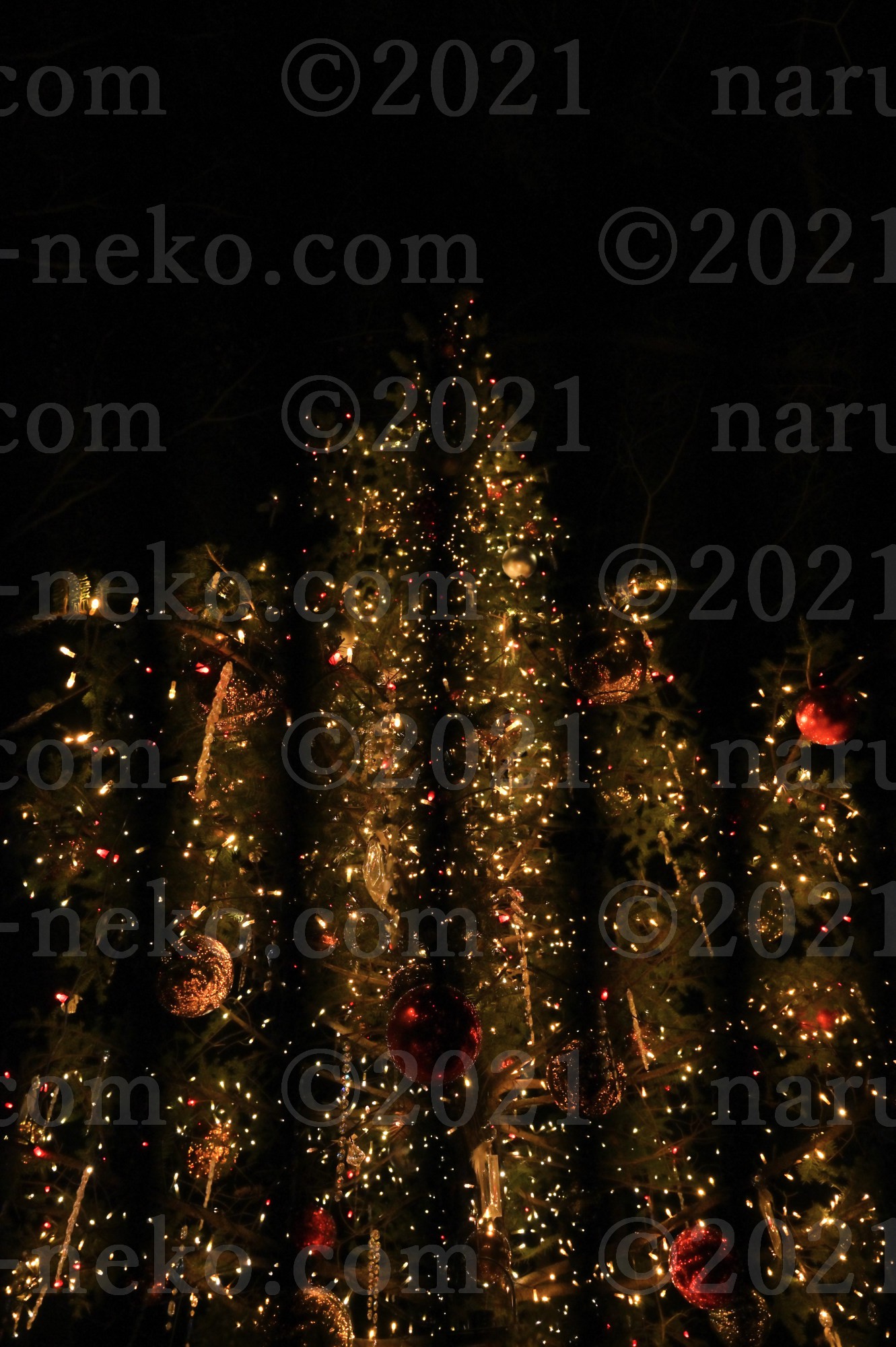 星降る森のクリスマス2021　6