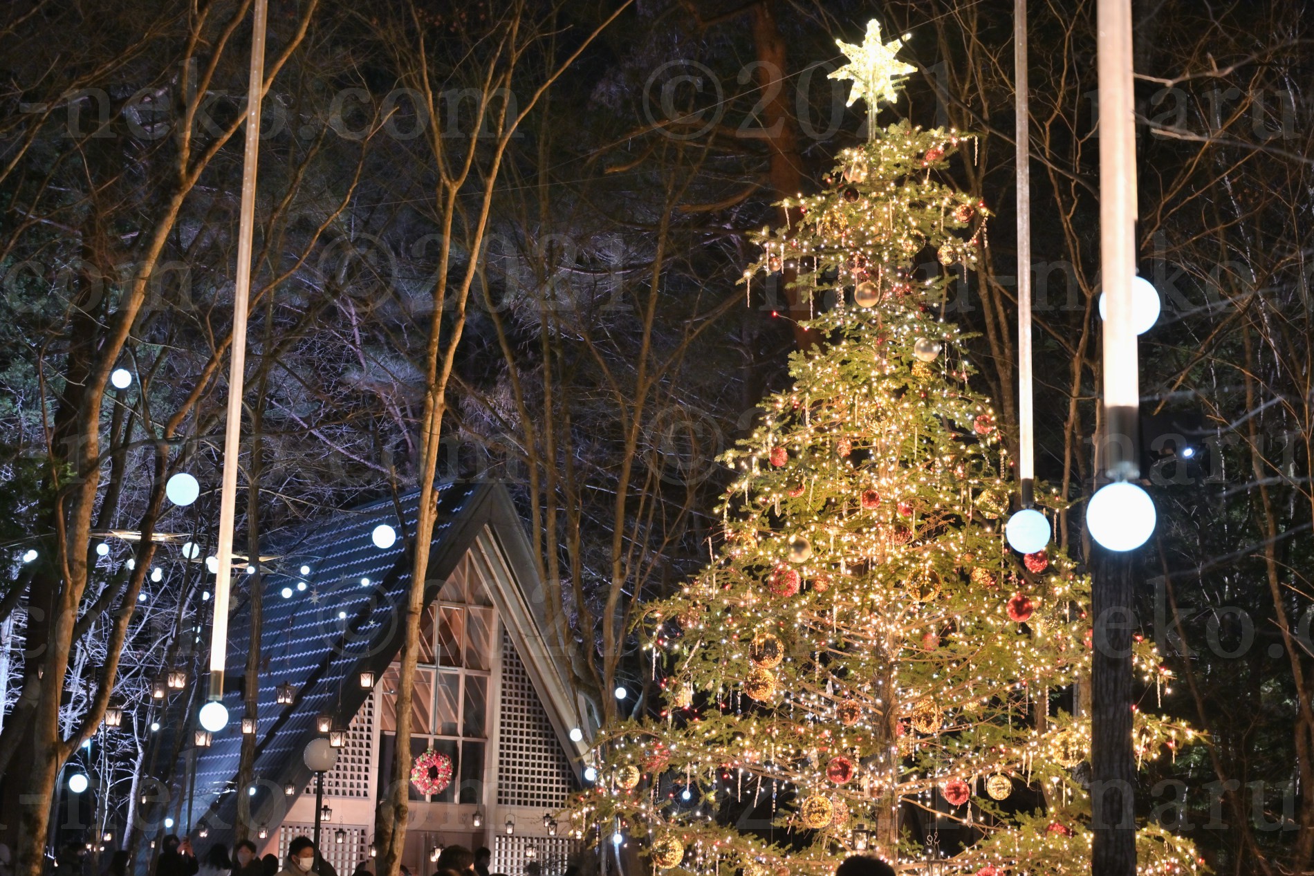 星降る森のクリスマス2021　３