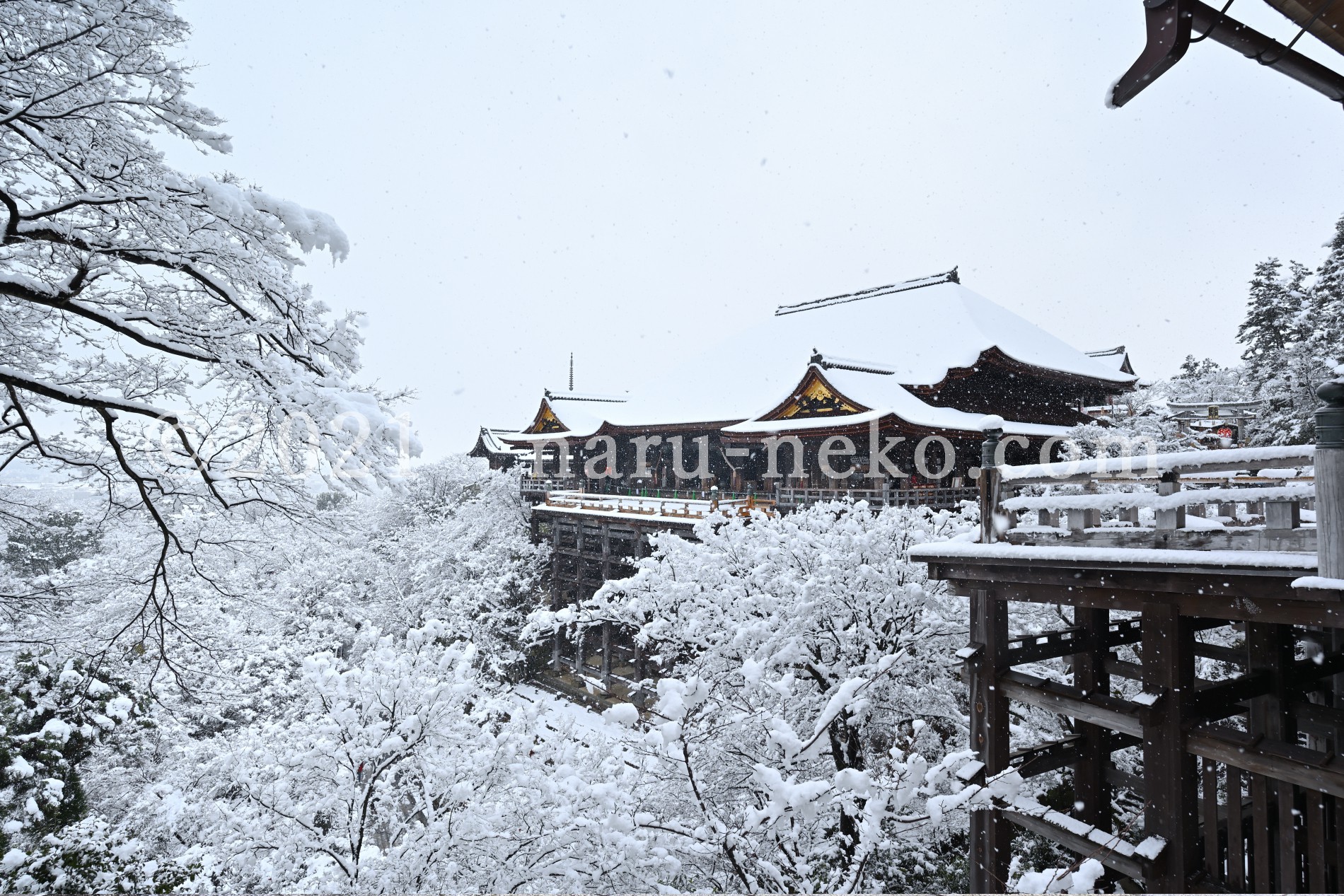 雪の清水寺　冬　２