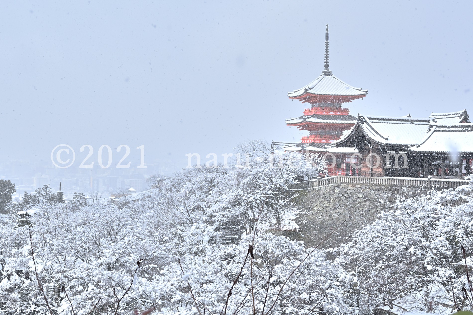 雪の清水寺　冬　三重塔