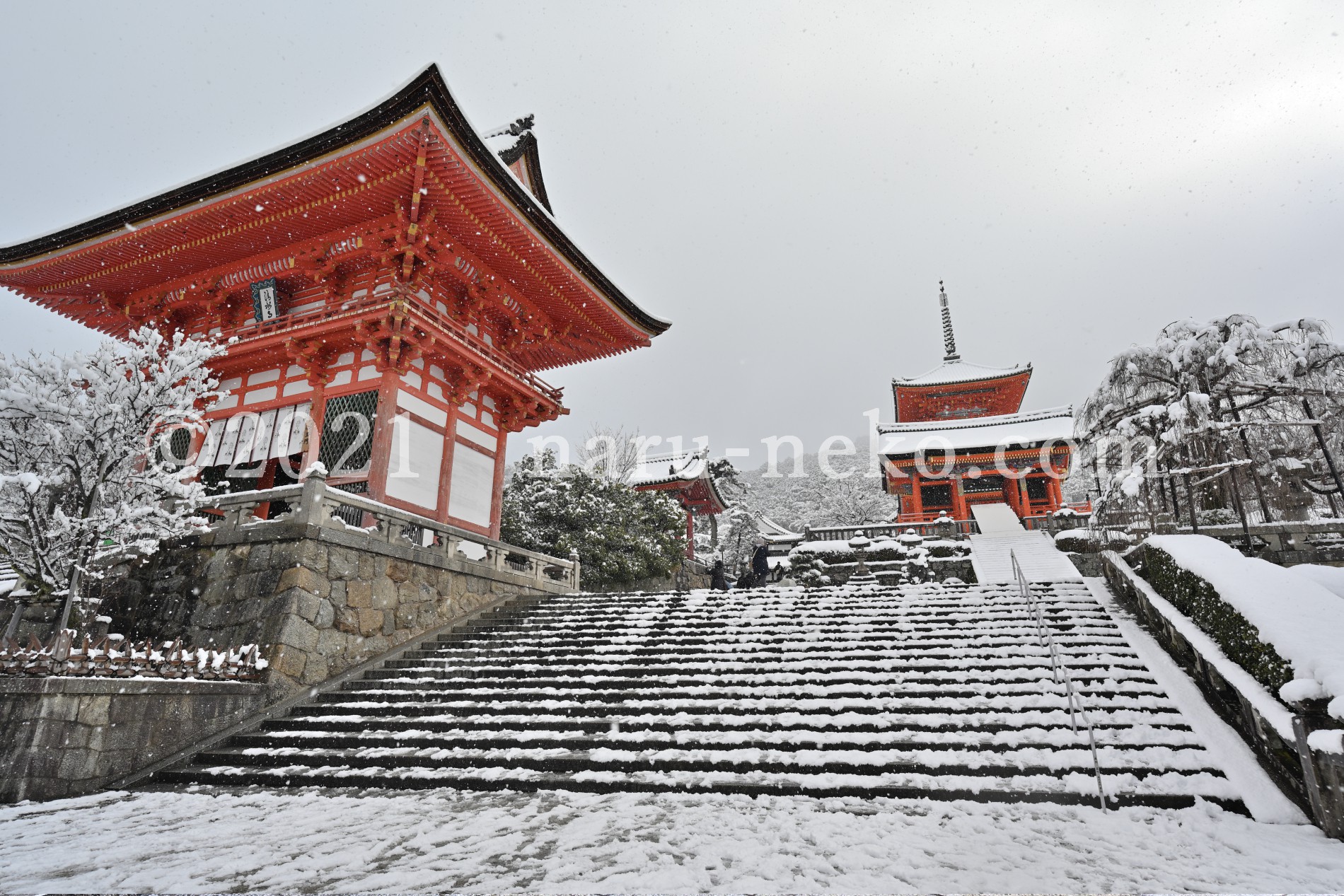 雪の清水寺　冬　仁王門　西門