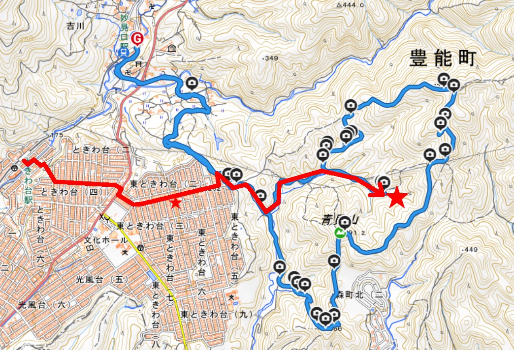 青貝山　ミツマタ群生地　マップ