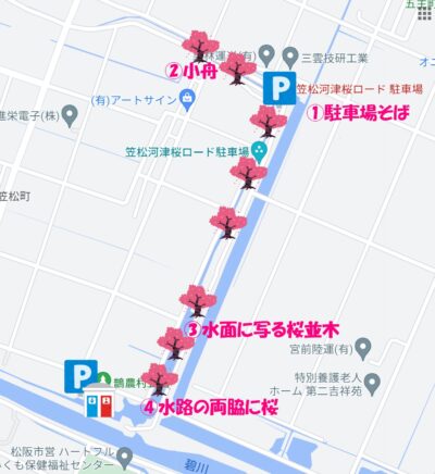 笠松河津桜ロード　地図