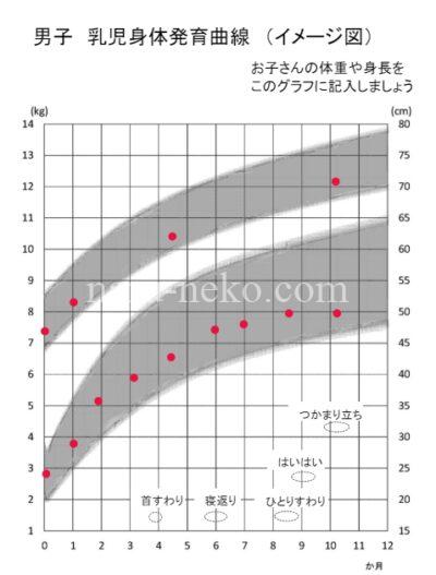 成長曲線 1年 赤ちゃん 小さめ